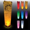 32 oz Lighted Single Light Pilsner